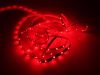 Beltéri RGB+CW led szalag SMD 5050 9 w/m 60led/m
