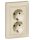Legrand Valena 2x2P+F dugalj elefántcsont
