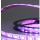 Prémium LED szalag 24V SIL IP66 14,4W/m RGB UV álló 5 méter