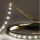 Prémium LED szalag 24V SIL IP20 2,4W/m 250Lm/m 4200K 10 méter