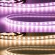 Prémium LED szalag 24V AQUA IP67 19W/m RGB+WW UV álló 5 méter