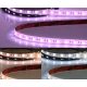 Prémium LED szalag 24V AQUA IP68 19W/m RGB+WW+CW UV álló 5 méter