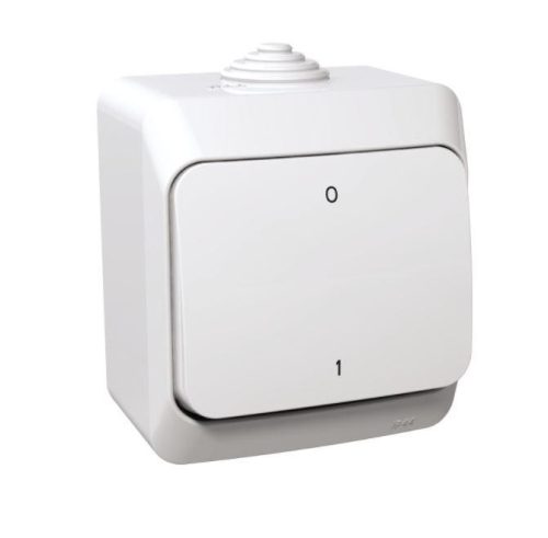 Schneider Electric CEDAR PLUS Kétpólusú kapcsoló, IP44, fehér (102)