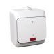 Schneider Electric CEDAR PLUS Kétpólusú kapcsoló, jelzőfénnyel, IP44, fehér